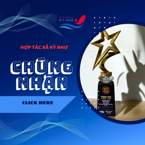 Bộ Giấy Tờ - Chứng Nhận của Hợp Tác Xã Kỳ Như